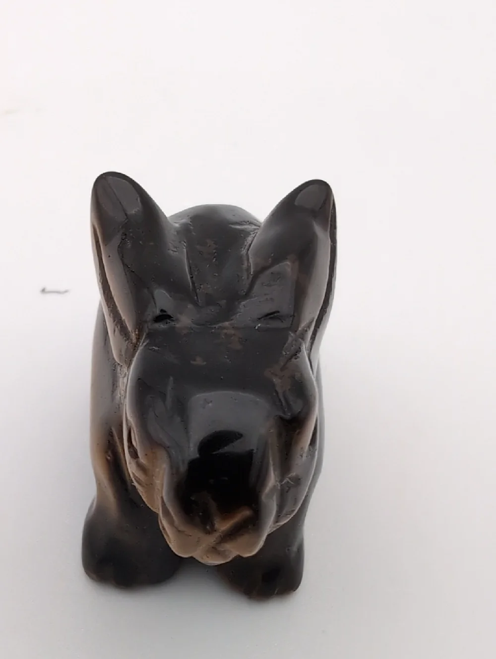 Tiger Eye Rabbit 🐇 - Picture 5 of 5